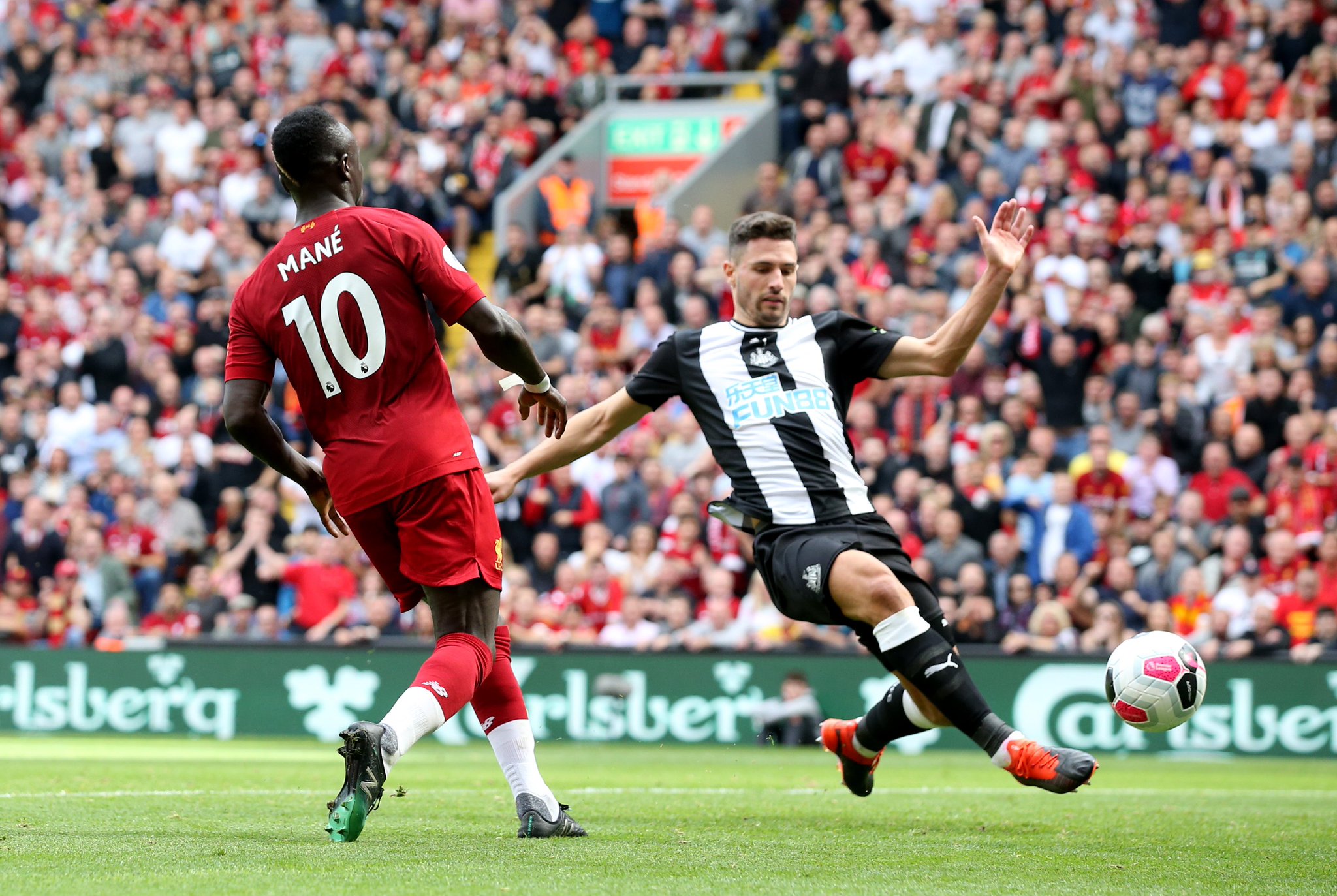 还是金玟哉 还是金玟哉