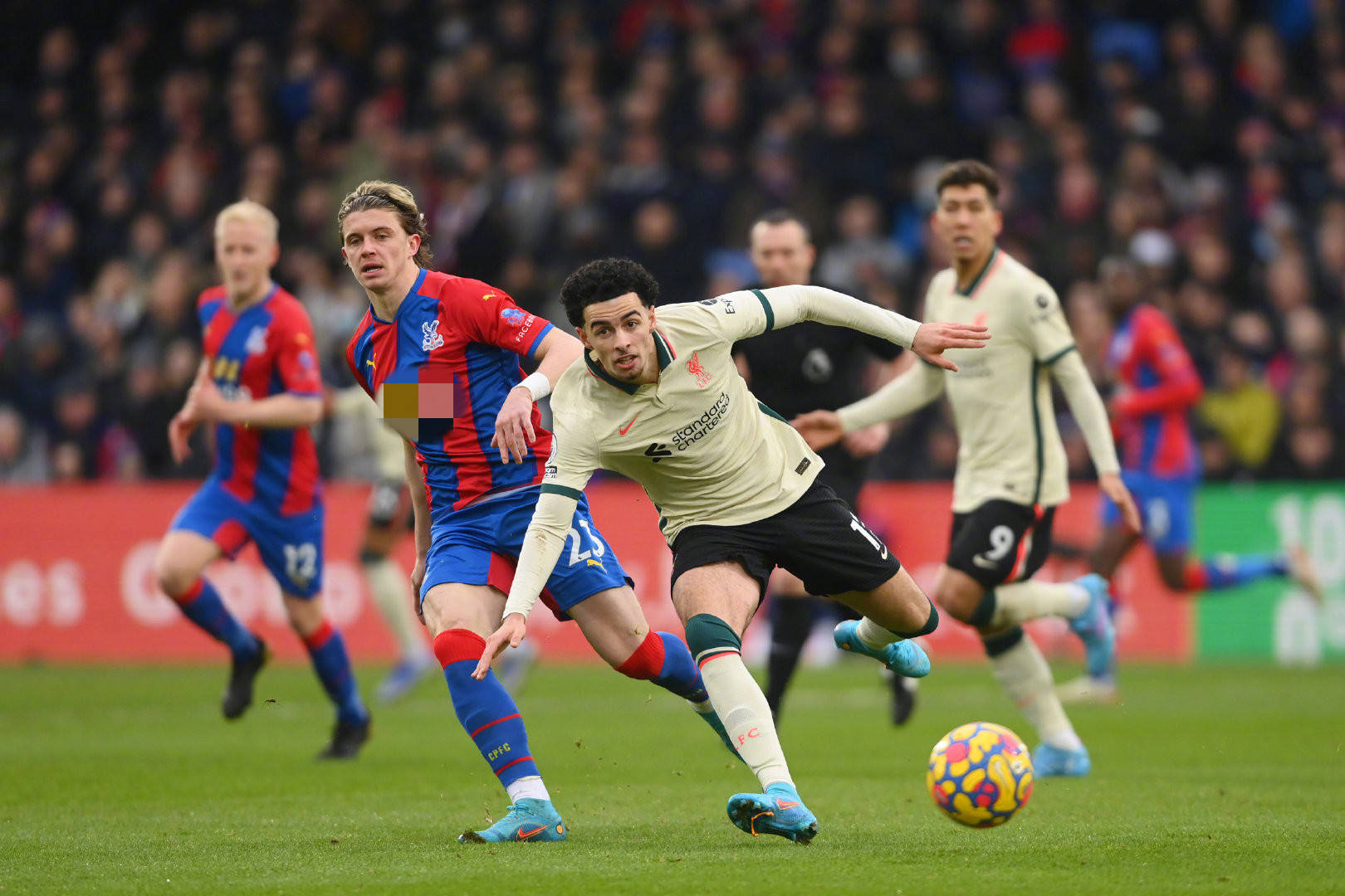 提供了一个 提供了一个